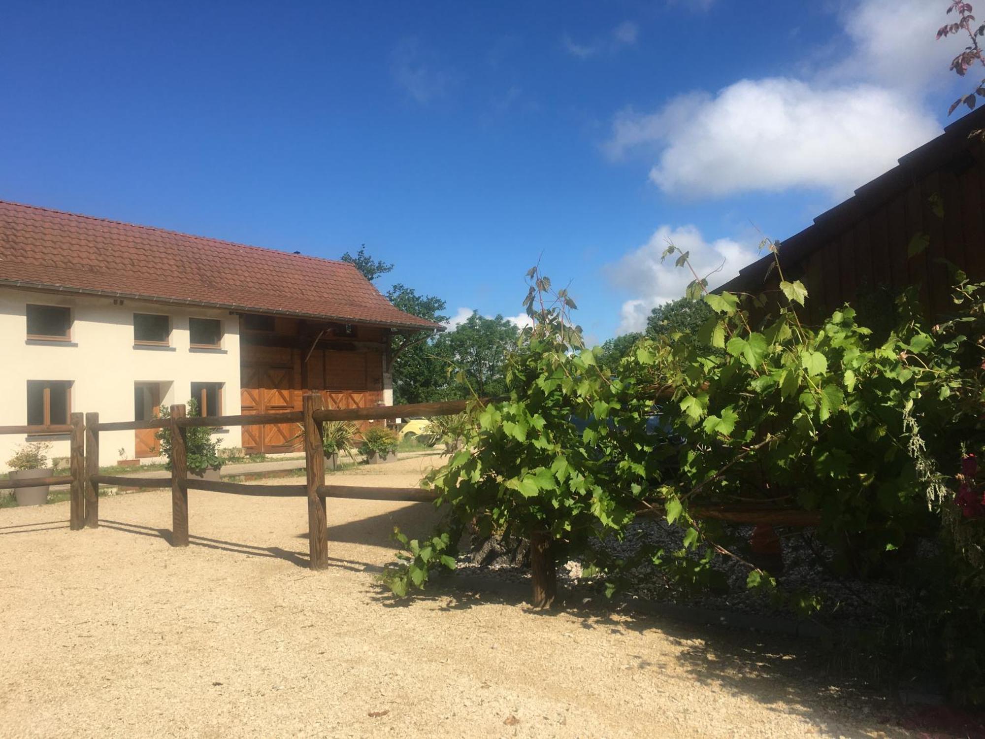 Des Buis De L'ain Appartement
